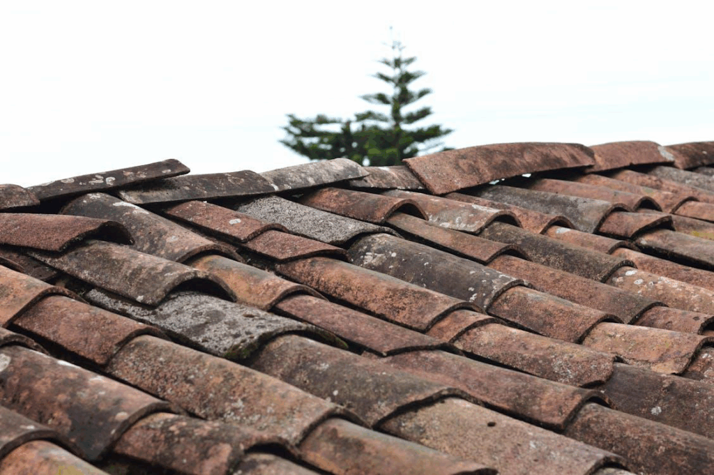 Close-up of brown roof shingles after hail exposure