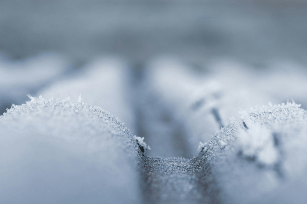 close-up of a frosted roof