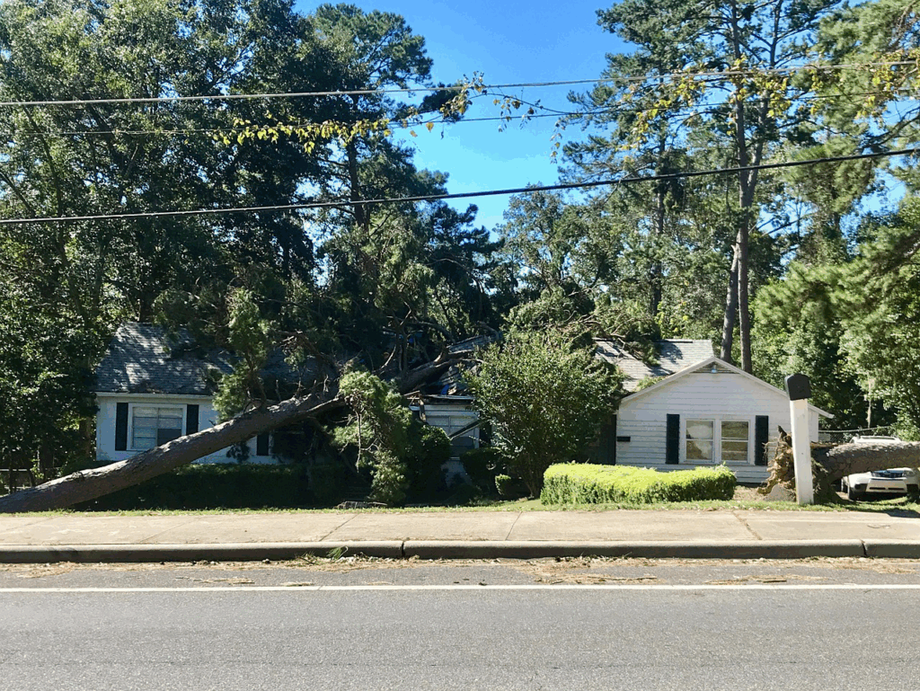 fallen tree on a roof after a storm